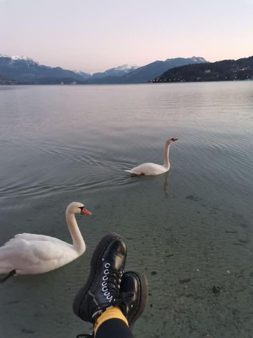 Cocon A La Campagne,Proche Annecy Διαμέρισμα Alby-sur-Cheran Εξωτερικό φωτογραφία