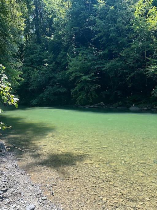 Cocon A La Campagne,Proche Annecy Διαμέρισμα Alby-sur-Cheran Εξωτερικό φωτογραφία