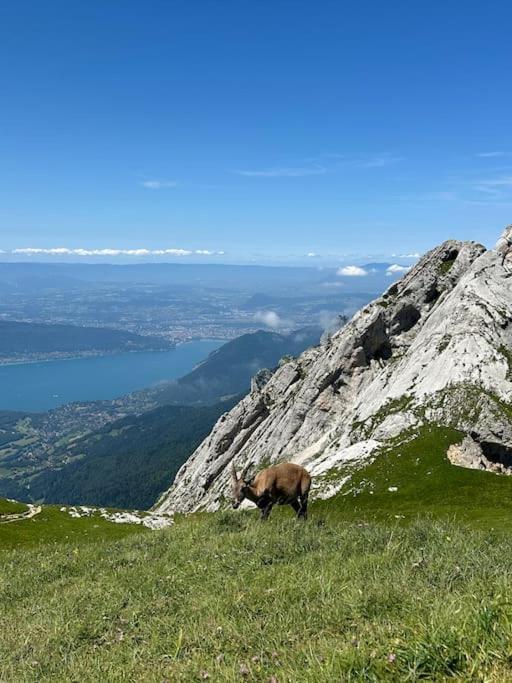 Cocon A La Campagne,Proche Annecy Διαμέρισμα Alby-sur-Cheran Εξωτερικό φωτογραφία